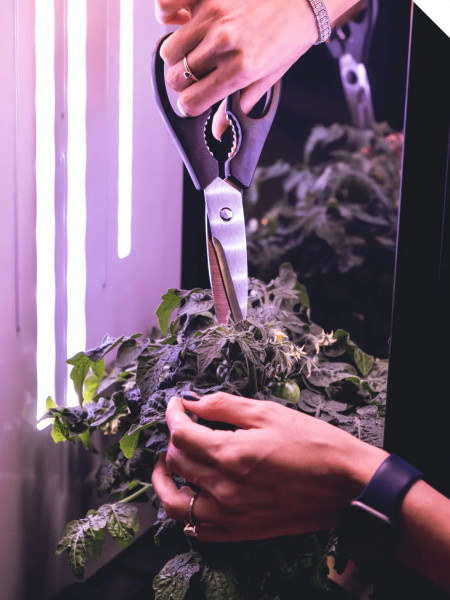 Mary AG Model Z vollautomatische Grow Station mit App Support